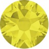 12ss Citrine Maxima